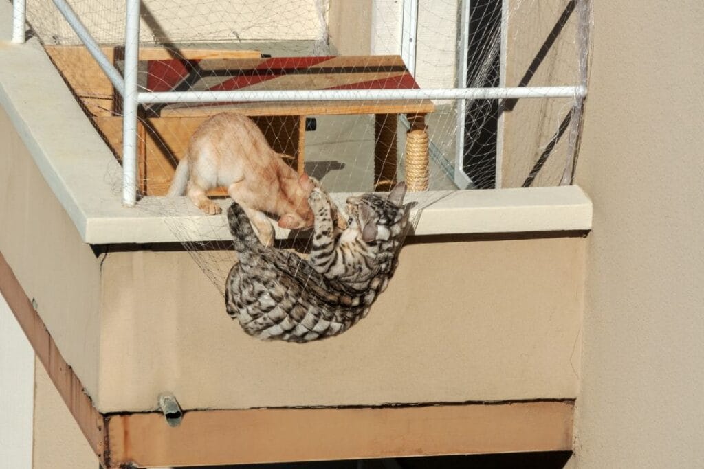 Montaż siatki balkonowej